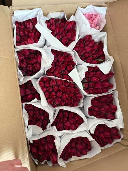 Продам Тюльаны ОПТ в Розницу