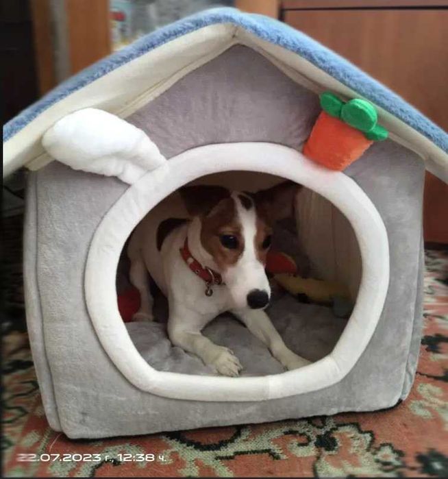 Нова сгъваема плюшена Кучешка къща * Котешка къщичка