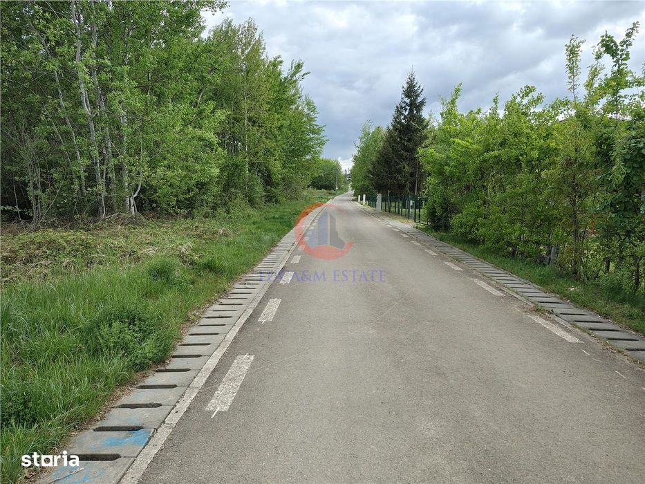 Teren Lacul Surduc Fârdea