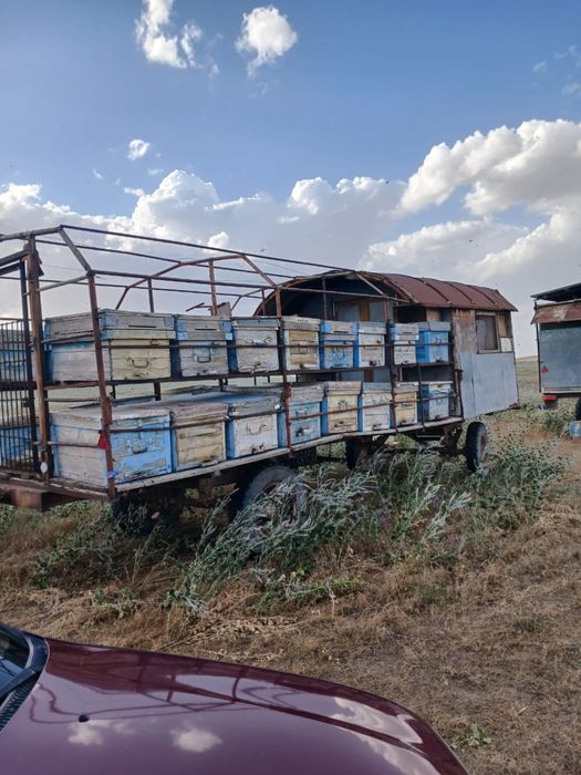 Прицеп   сатылады