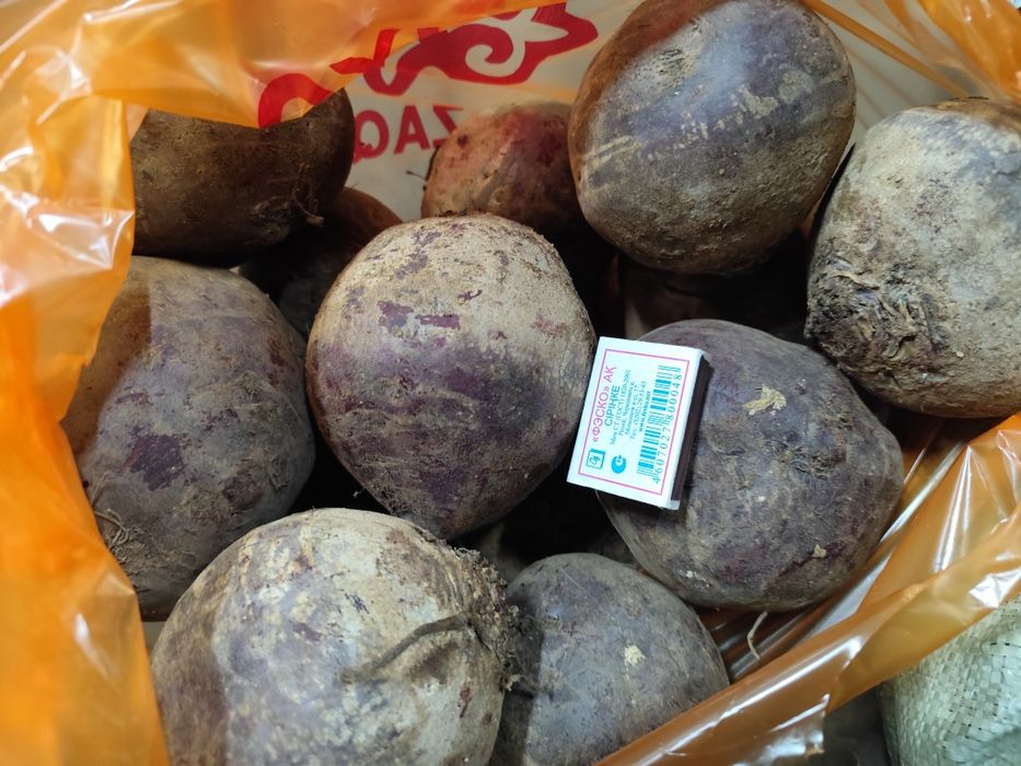 Продается свекла столовая