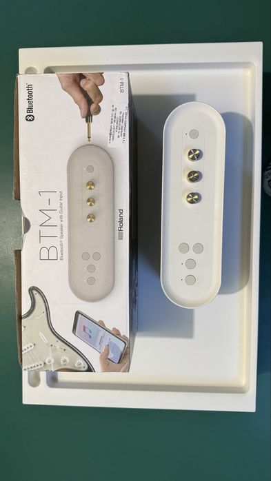 Amplificator Chitara Electrica & Boxa Bluetooth Roland BTM-1 LTD