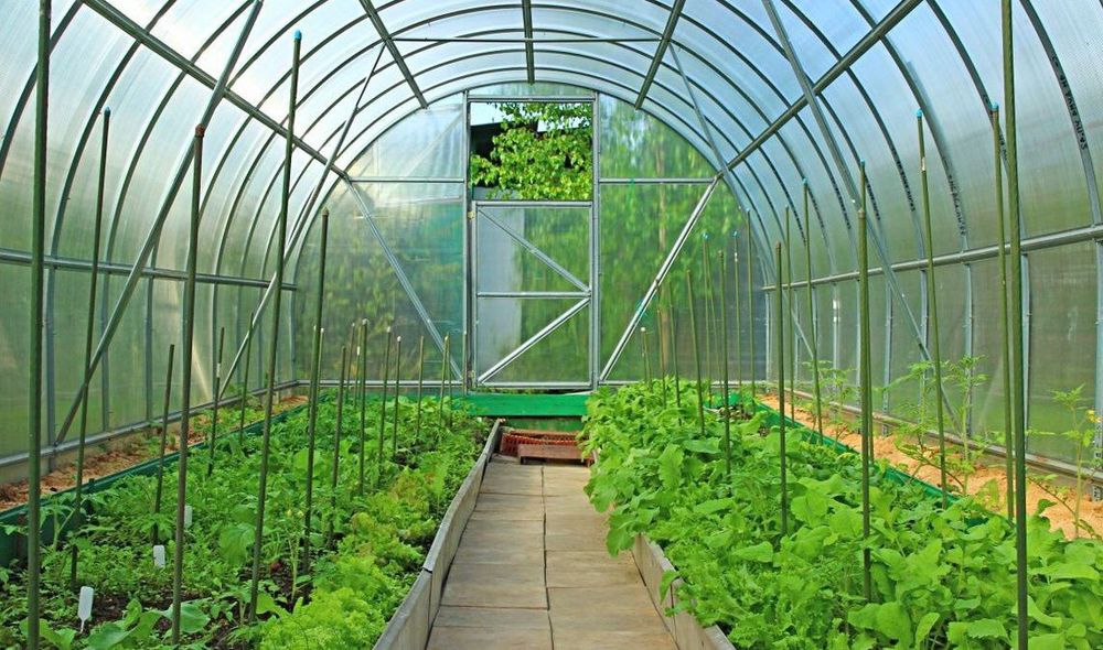 Leksan | Лексан | оптом | Golden plast - Израил | LK-9