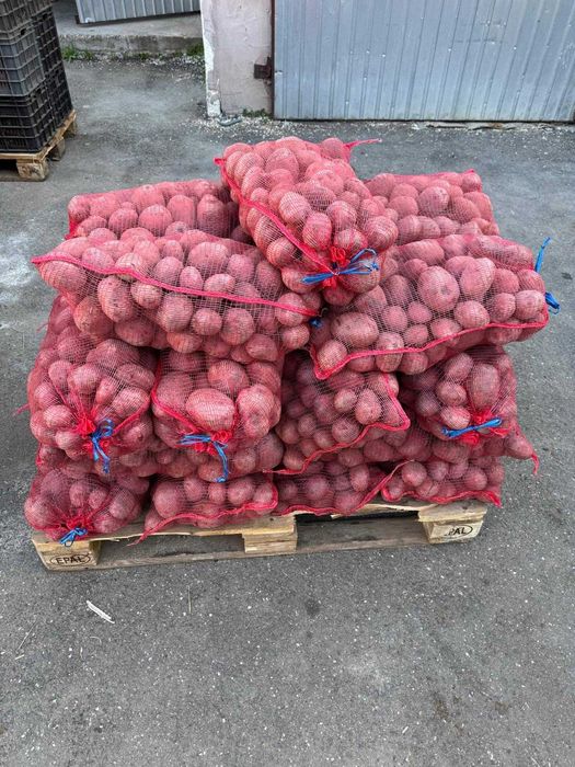 morcovi 1 leu/kg - cartofi 2 lei/kg - cartofi pt semanat 1.5 lei/kg