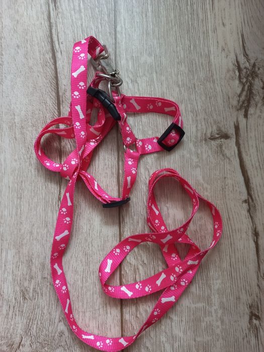 Поводок для маленьких питомцев