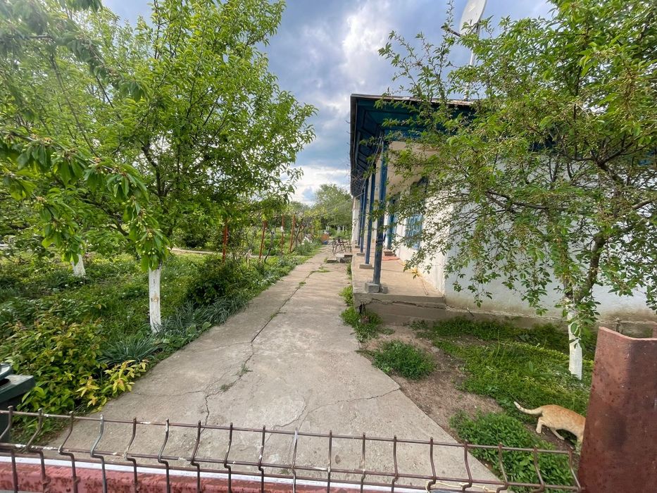 Casa de vanzare  Batraneasca