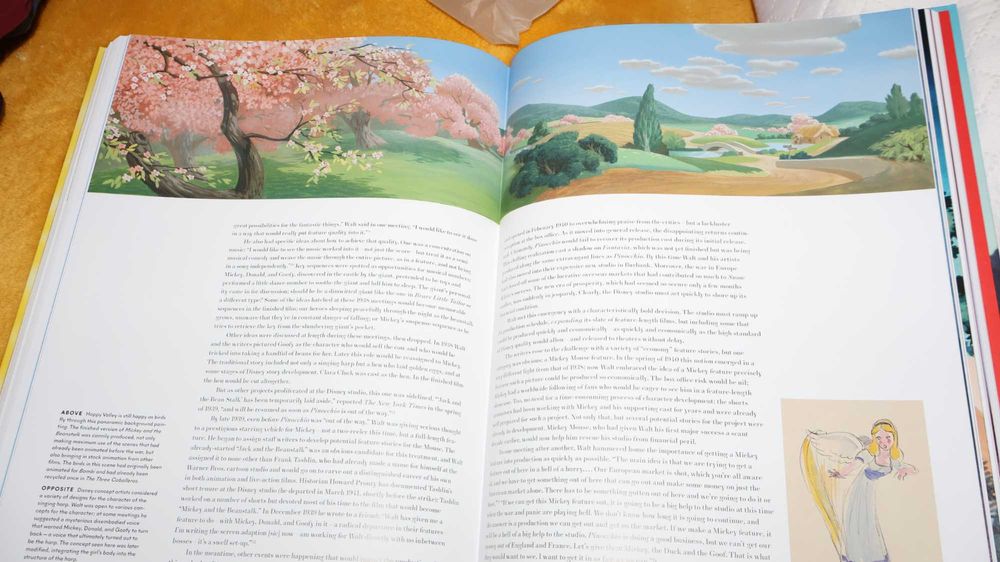 Walt Disney's Mickey Mouse Book