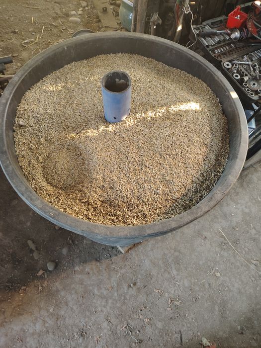 Vand ovăz calitate f bună