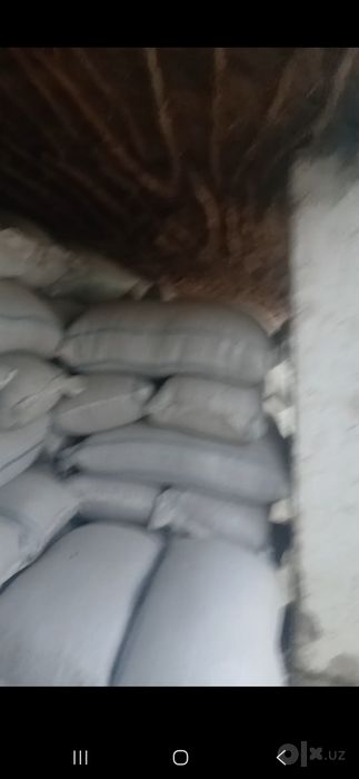 Семечки , Semechka Qora to‘n hom 9 tonna kelishamiz optom narxlarda 15