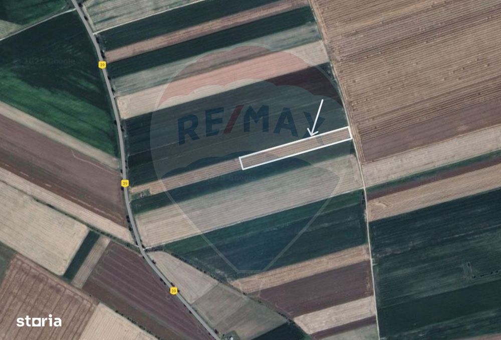 Teren extravilan 2 parcele de 9.750 mp - Satul Nou, comuna Hălchiu