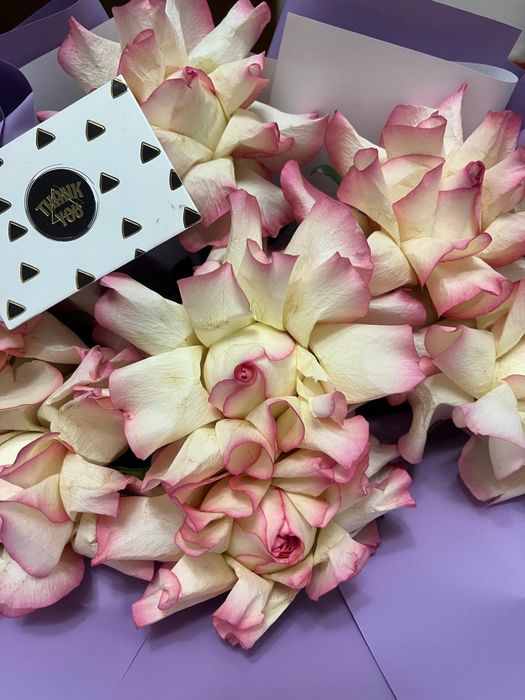 Цветы Туркестан Гүлдер