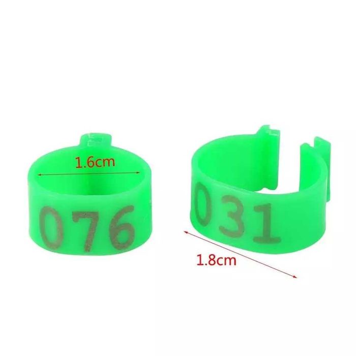 Tovuqlarga himoya ochki