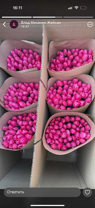 Тюльпаны крупные.