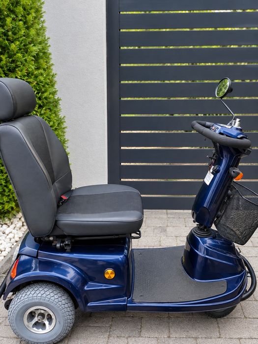 electric dizabilități