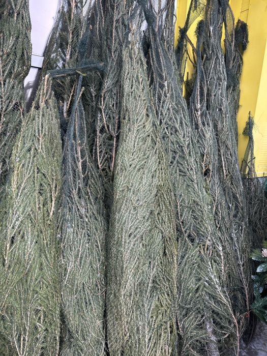 Ель оптом астана