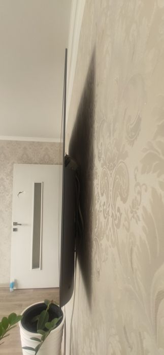 Телевизор LG OLED TV 55