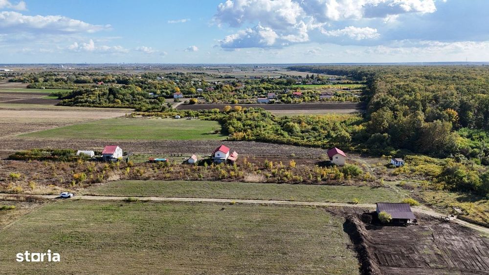 Refugiu la marginea padurii — 2822 mp de liniste in Cocani.