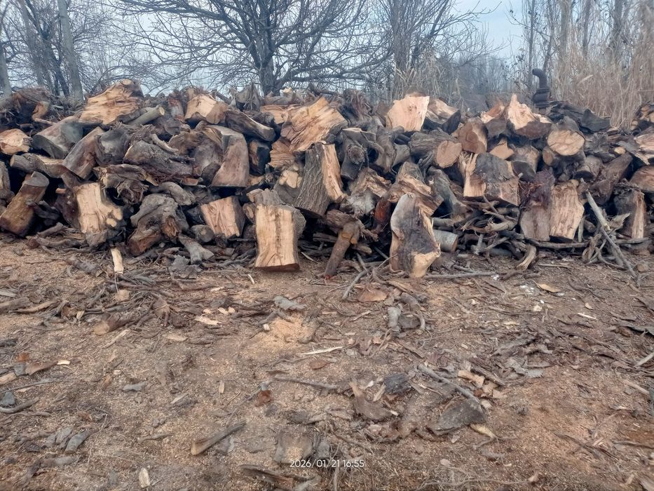 Quruq oʻtin sotiladi