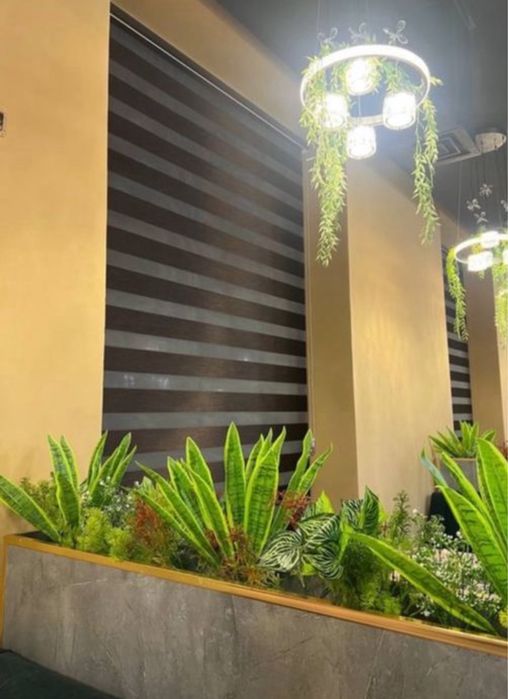 Jalyuzi parda jalyuzi plisse жалюзи