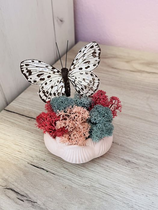 Кашпи със скандинавски мъх