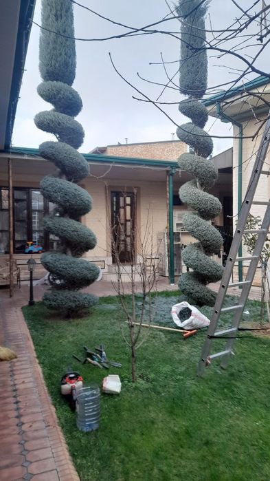 Archa kesish va dorilash xizmati Gazon