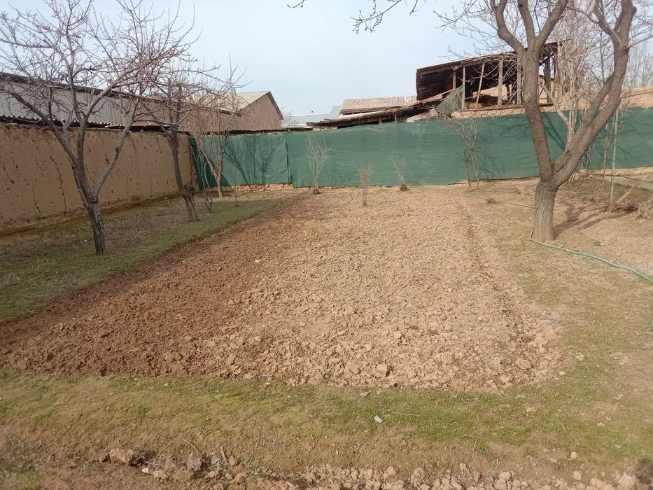 Elon yer sotiladi 5 sotuk