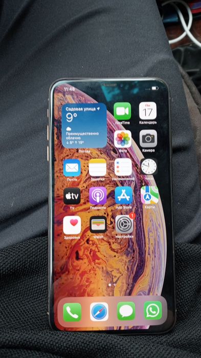 iPhone 10 pro max