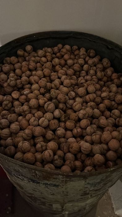 Жаңғақ 550тг сатылады