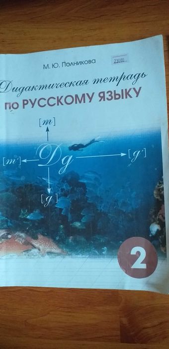 российские пособия Русский язык 2 класс, логика 3класс..