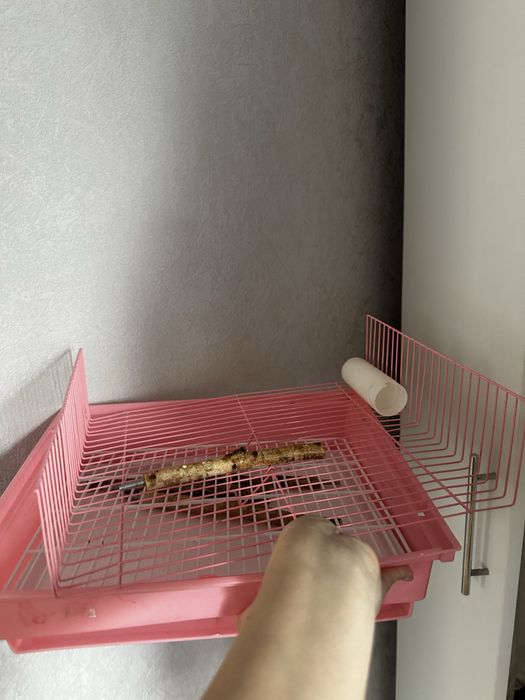 Клетка для волнистых попугаев