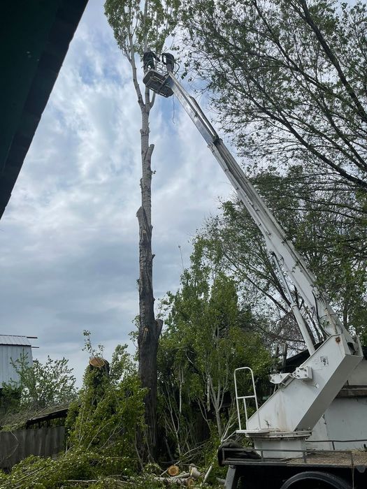 Спил деревьев любой сложности!