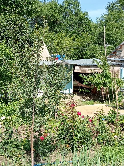 Продам дачу (6,6 соток)