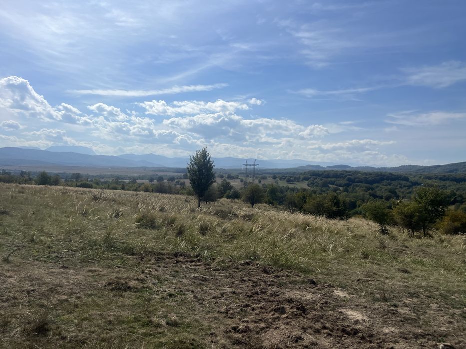 Vand sau schimb !Teren in polilnica (vladeni brasov