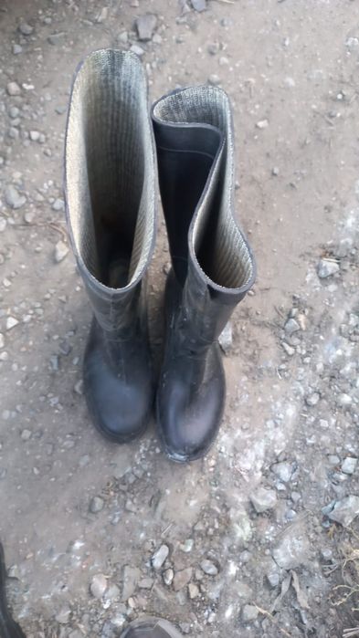 Резиновые сапоги