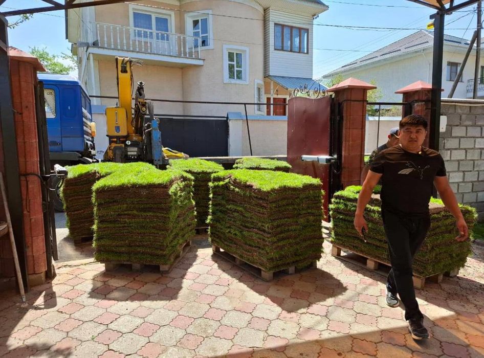 Замер бесплатно, рулонный газон Джонсонс