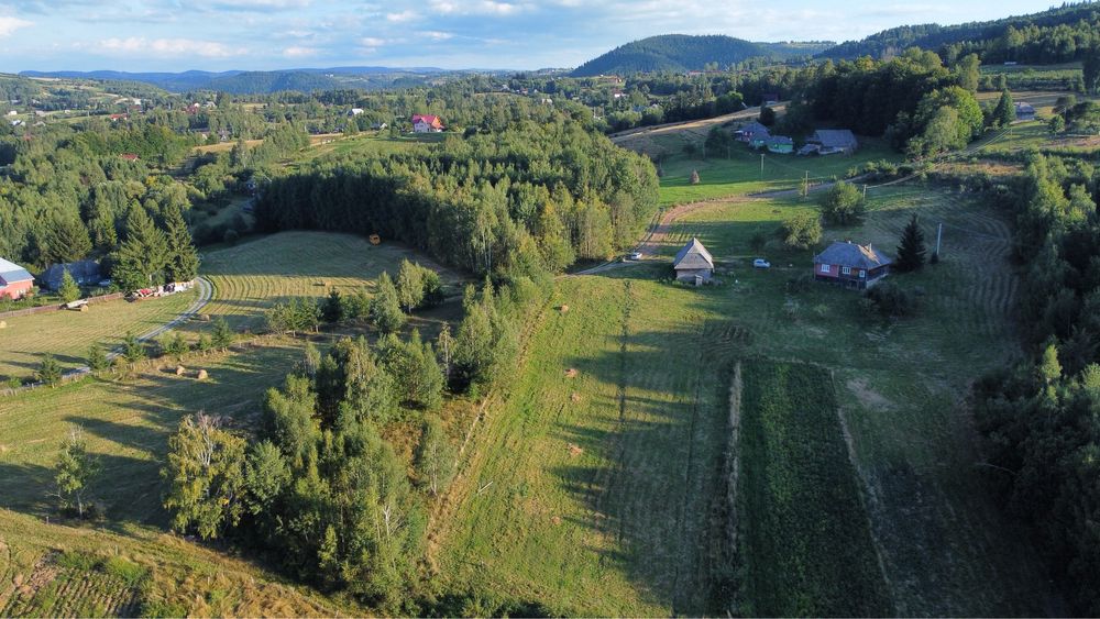 Vand teren cu casa 4ha