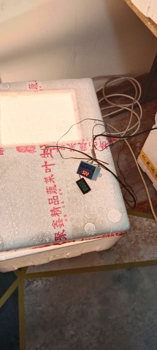 Пенопласт инкубатор