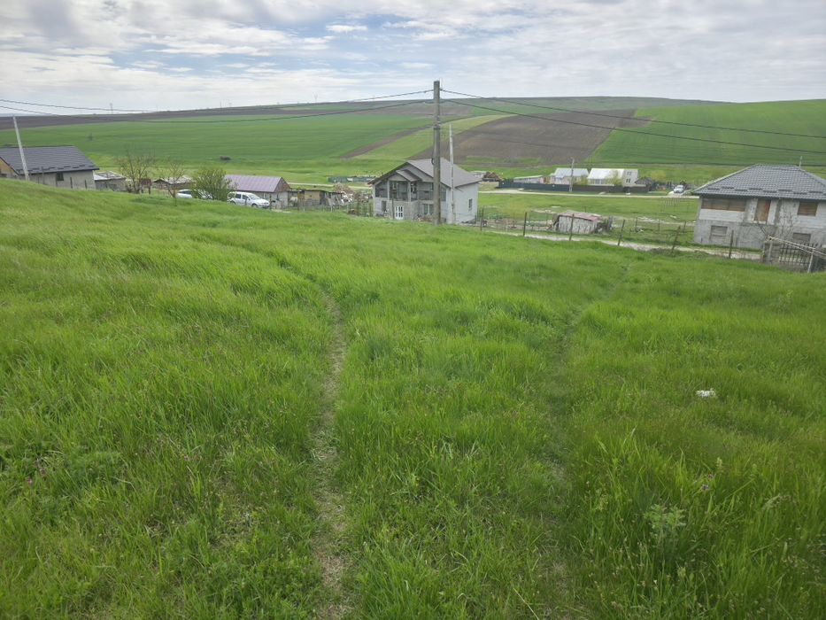 Teren de vânzare Bogonos Iași