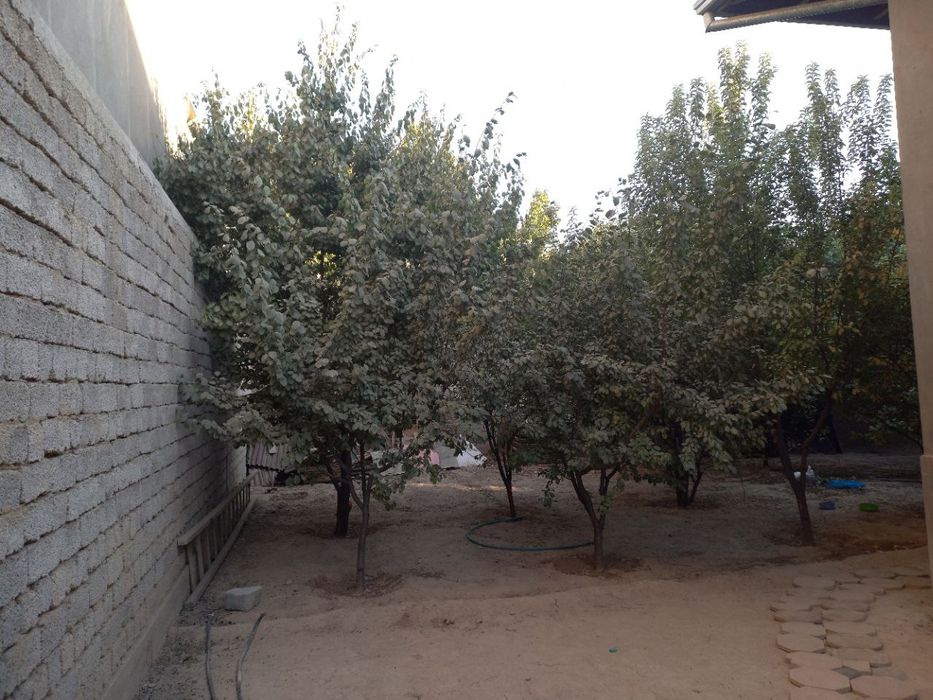 Участка сотилади.йер 3 сотик каробка. Uchastka sotiladi karobka 3sotix