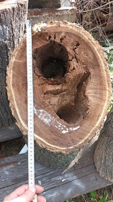 Дървени шайби за проекти със смола