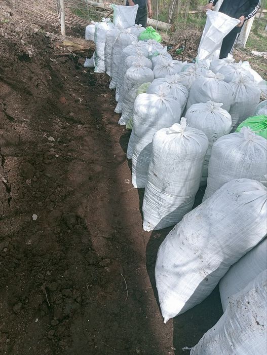 Chirigan va qoplangan goʻng