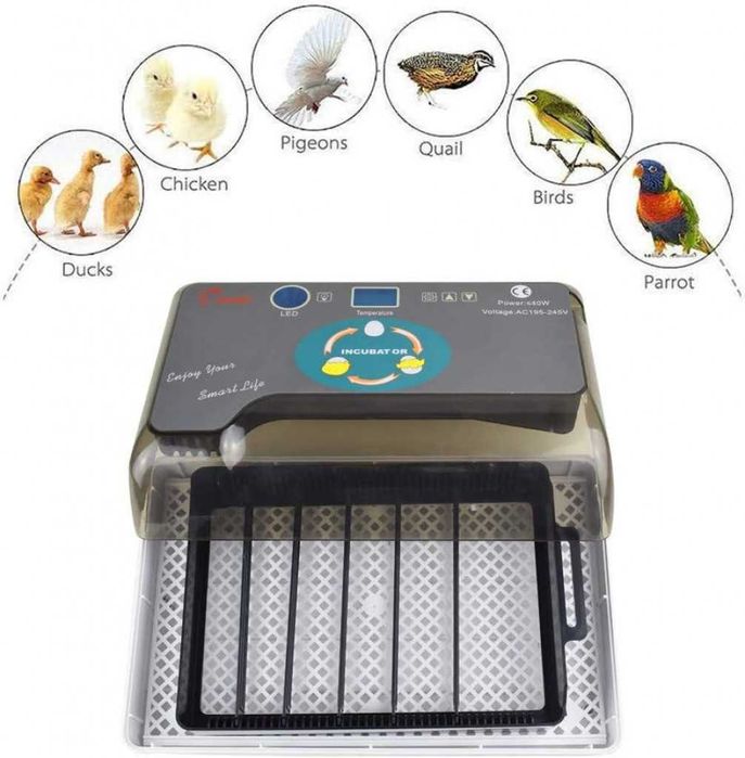 Автоматичен инкубатор за 12 яйца – Лесен за употреба YZ9-12