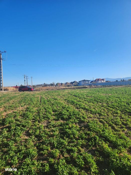 Vanzare loturi teren pentru case cu utilitati Halchiu