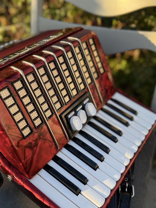 Acordeon Delicia Junior ll 48 bași
