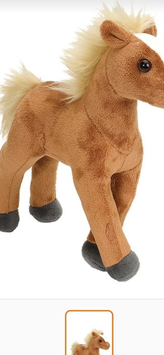 Calut de plus nou nout