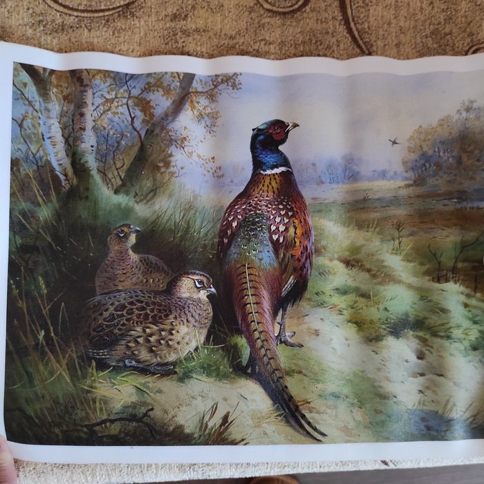 Ловна     картина