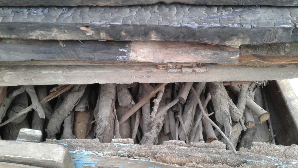 Продаються дрова