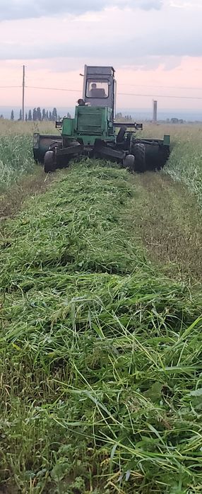 Сено суданская трава