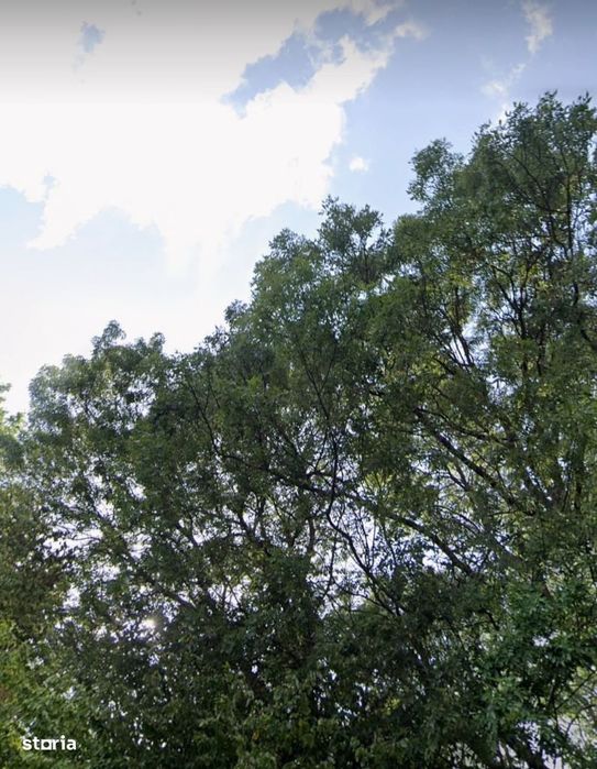 Nou | Teren Intravilan | 1065 mp | Lângă Pădure / Siliștea Snagovului