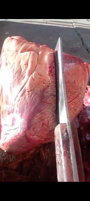 Рубец, косточки мясо вымя и.д